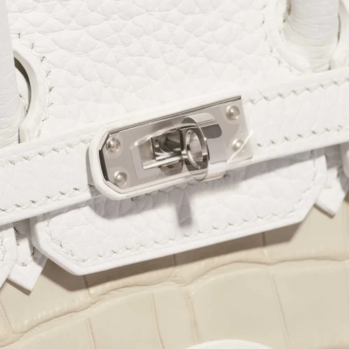 Artisan-Grade Hermès Birkin 20 Faubourg Matte Alligator/Togo/Epsom/Swift White/Beton/Orange H/Blue Brume/Craie PHW - Replica Handbags - Image 7
