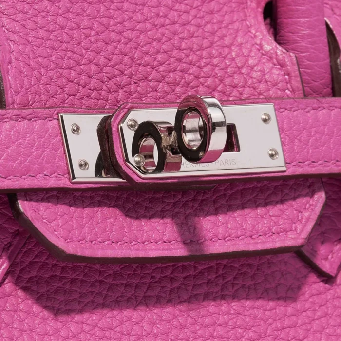 Artisan-Grade Hermès Birkin 25 Togo Magnolia PHW - Replica Handbags - Image 7