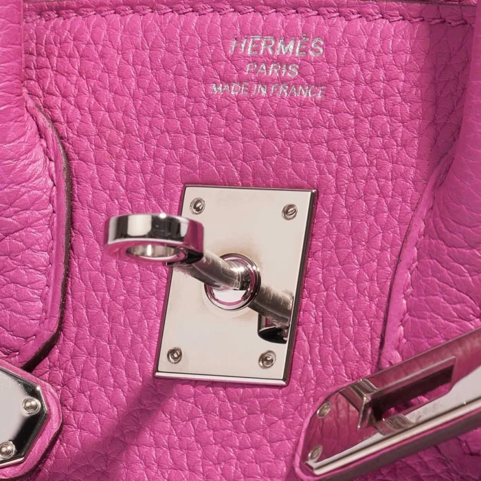 Artisan-Grade Hermès Birkin 25 Togo Magnolia PHW - Replica Handbags - Image 6