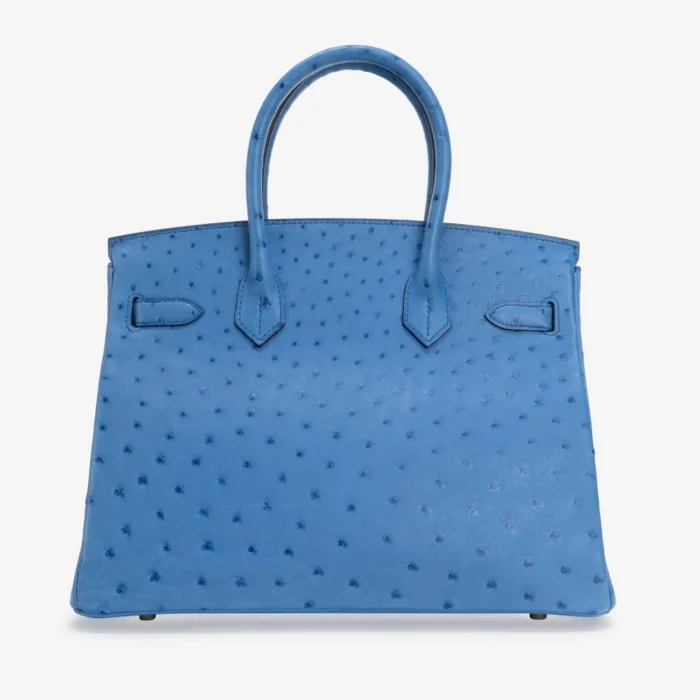 Artisan-Grade Hermès Birkin 30 Ostrich Blue Mykonos GHW - DLF - Image 2