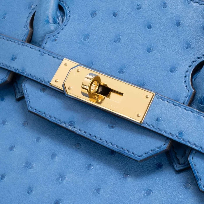 Artisan-Grade Hermès Birkin 30 Ostrich Blue Mykonos GHW - DLF - Image 6