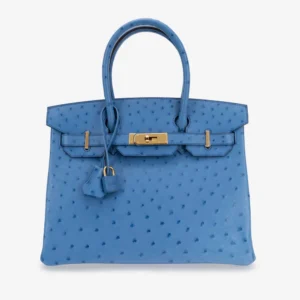 Artisan-Grade Hermès Birkin 30 Ostrich Blue Mykonos GHW | DLF