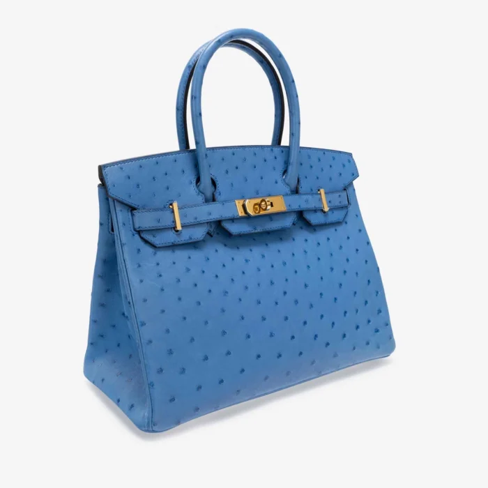 Artisan-Grade Hermès Birkin 30 Ostrich Blue Mykonos GHW - DLF - Image 4