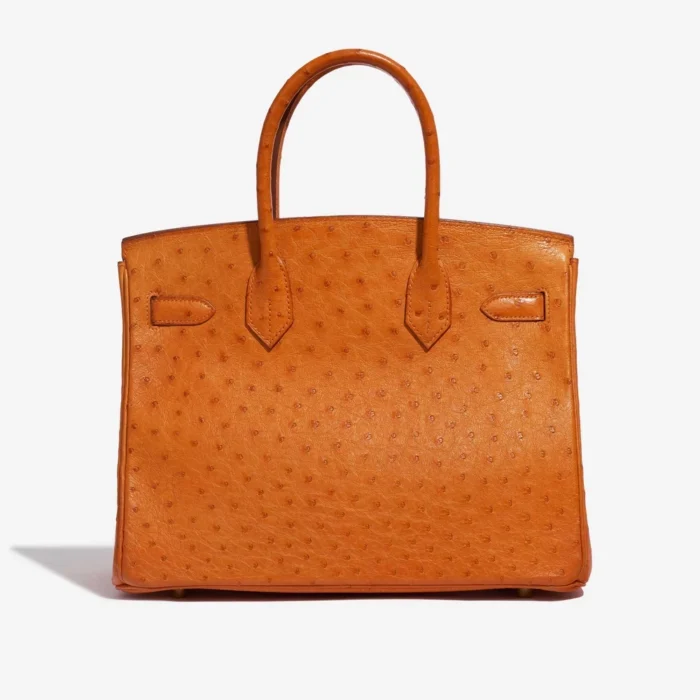 Artisan-Grade Hermès Birkin 30 Ostrich leather Orange GHW - Replica Handbags - Image 2