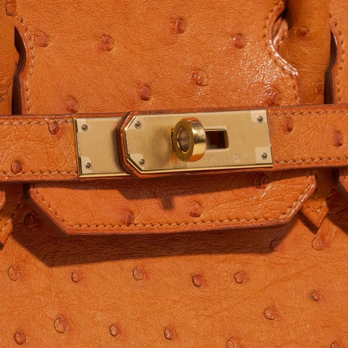Artisan-Grade Hermès Birkin 30 Ostrich leather Orange GHW - Replica Handbags - Image 7
