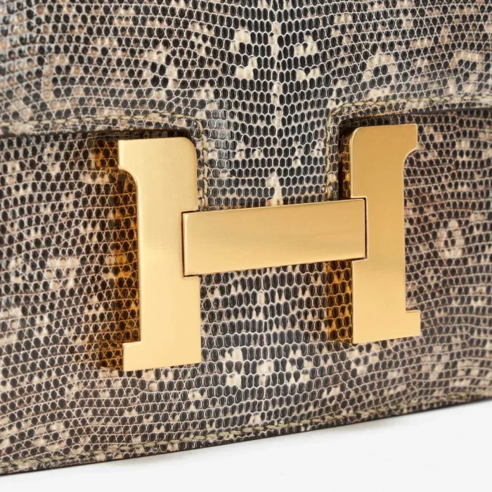 Artisan-Grade Hermès Constance 18 Mini Lizard Ombre GHW - DLF - Image 6