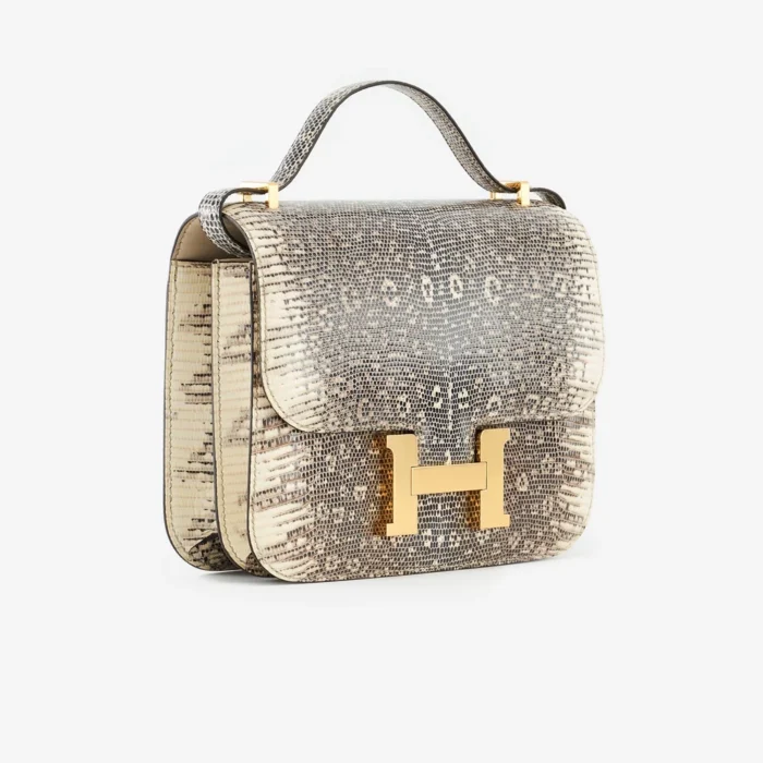 Artisan-Grade Hermès Constance 18 Mini Lizard Ombre GHW - DLF - Image 4