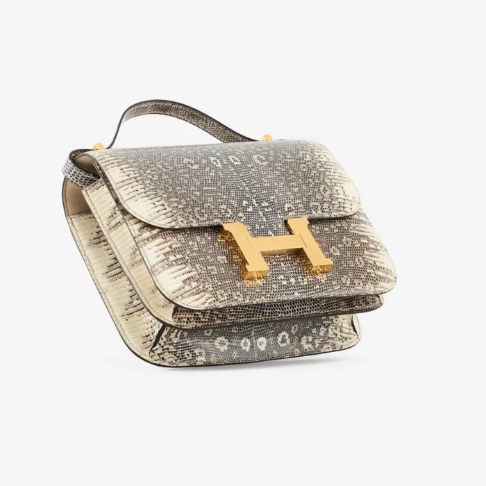 Artisan-Grade Hermès Constance 18 Mini Lizard Ombre GHW - DLF - Image 3