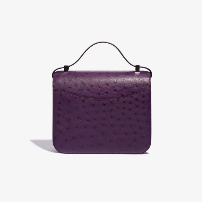 Artisan-Grade Hermès Constance 24 Ostrich Violin PHW - Replica Handbags - Image 2