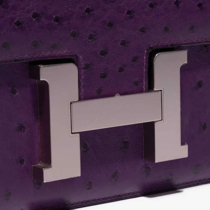 Artisan-Grade Hermès Constance 24 Ostrich Violin PHW - Replica Handbags - Image 6