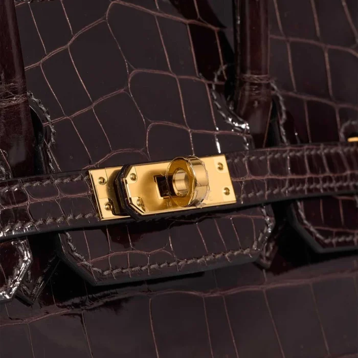 Artisan-Grade Hermès Dupes Birkin 25 Niloticus Crocodile Macassar GHW - Replica Handbags - Image 6
