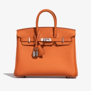 Artisan-Grade Hermès Dupes Birkin 25 Togo Orange H PHW | DLF