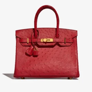 Artisan-Grade Hermès Dupes Birkin 30 Ostrich Rouge Casaque GHW - Replica Handbags