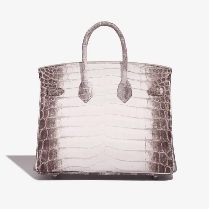 Artisan-Grade Hermès Dupes Birkin Himalaya 25 Niloticus Crocodile White PHW - Replica Handbags - Image 2