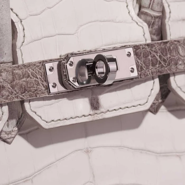 Artisan-Grade Hermès Dupes Birkin Himalaya 25 Niloticus Crocodile White PHW - Replica Handbags - Image 6