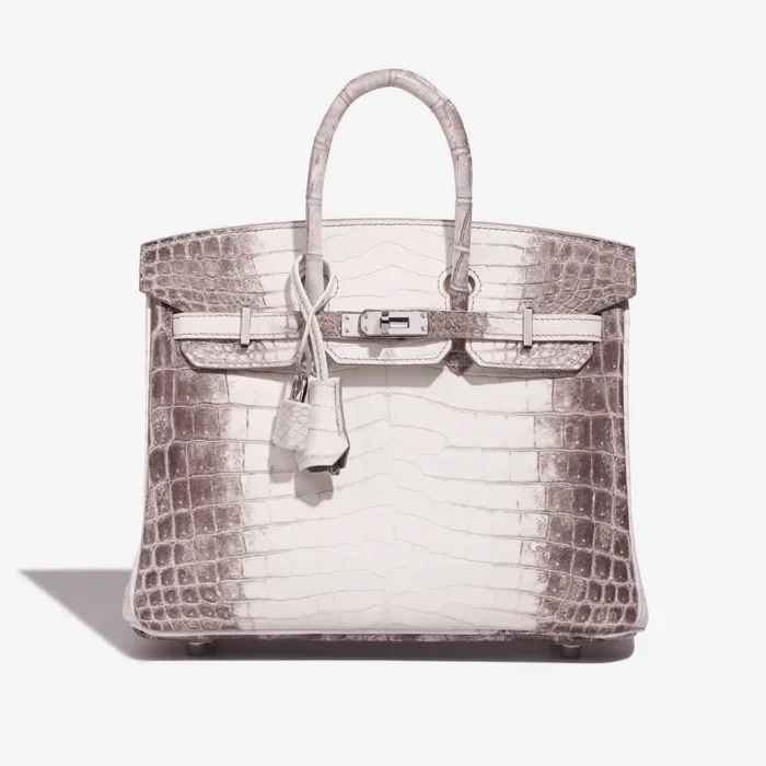 Artisan-Grade Hermès Dupes Birkin Himalaya 25 Niloticus Crocodile White PHW - Replica Handbags