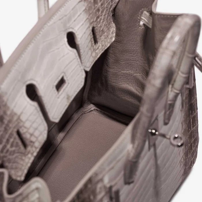 Artisan-Grade Hermès Dupes Birkin Himalaya 25 Niloticus Crocodile White PHW - Replica Handbags - Image 5