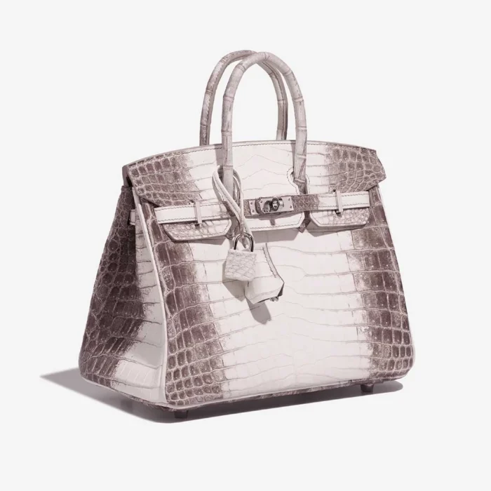 Artisan-Grade Hermès Dupes Birkin Himalaya 25 Niloticus Crocodile White PHW - Replica Handbags - Image 4