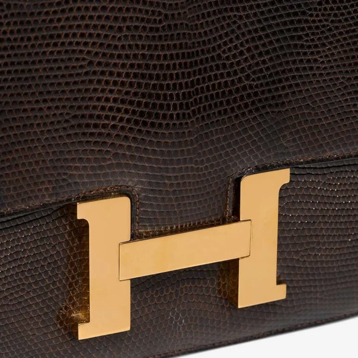 Artisan-Grade Hermès Dupes Constance 24 Salvator Lizard Marron GHW - Replica Handbags - Image 8
