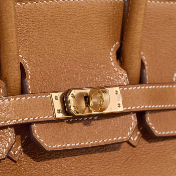 Best Replica Hermès Birkin 25 Peau Porc Toffee GHW - Replica Handbags - Image 6