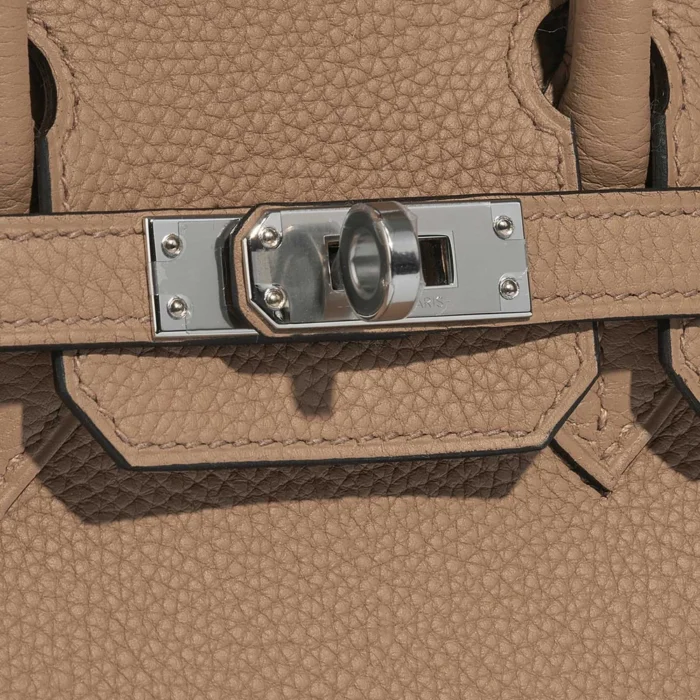 Best Replica Hermès Birkin 25 Togo Chai PHW - Replica Handbags - Image 7