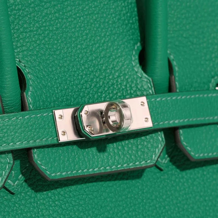 Best Replica Hermès Birkin 25 Togo Vert Vertigo PHW - Replica Handbags - Image 6