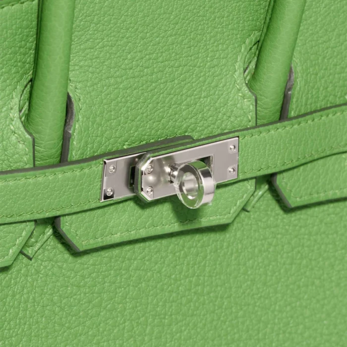 Best Replica Hermès Birkin 25 Togo Vert Yucca PHW - Replica Handbags - Image 7