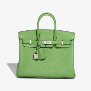 Best Replica Hermès Birkin 25 Togo Vert Yucca PHW - Replica Handbags