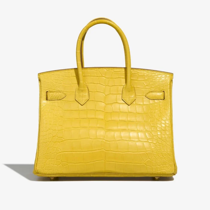 Best Replica Hermès Birkin 30 Matte Alligator Mimosa GHW - Replica Handbags - Image 2