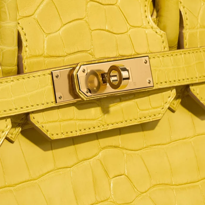 Best Replica Hermès Birkin 30 Matte Alligator Mimosa GHW - Replica Handbags - Image 6