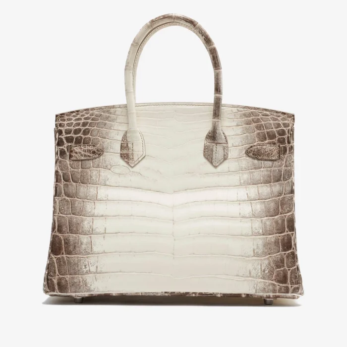 Best Replica Hermès Birkin 30 Niloticus Himalaya Blanc PHW - DLF - Image 2