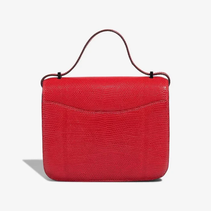 Best Replica Hermès Constance 18 Salvator Lizard Rouge Exotique PHW - Replica Handbags - Image 3
