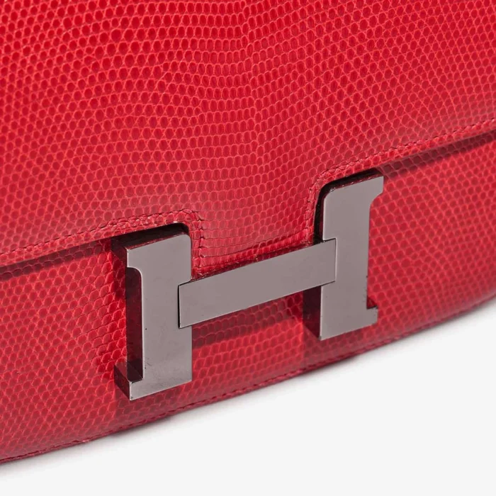 Best Replica Hermès Constance 18 Salvator Lizard Rouge Exotique PHW - Replica Handbags - Image 7