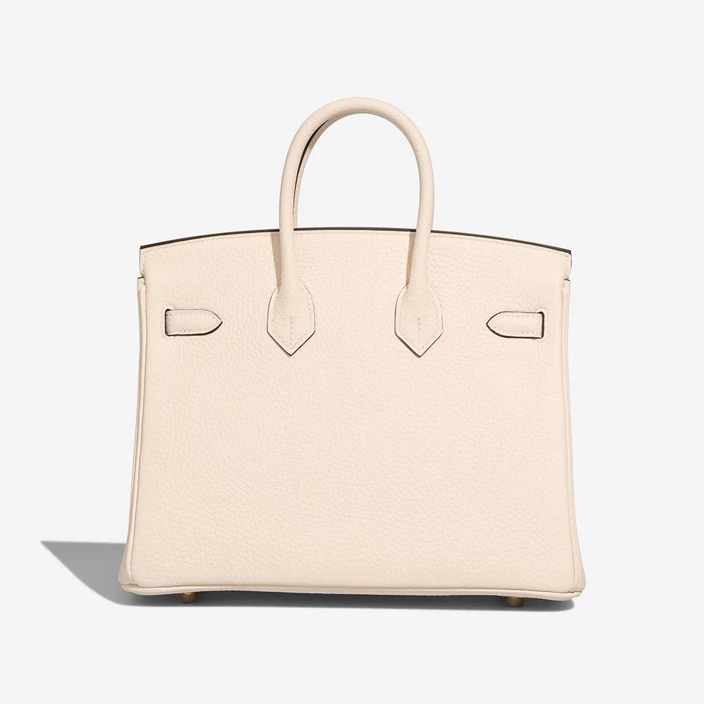 Hermes Birkin 25 Togo Leather Two-Tone Handbag (Gold Hardware) - Image 2