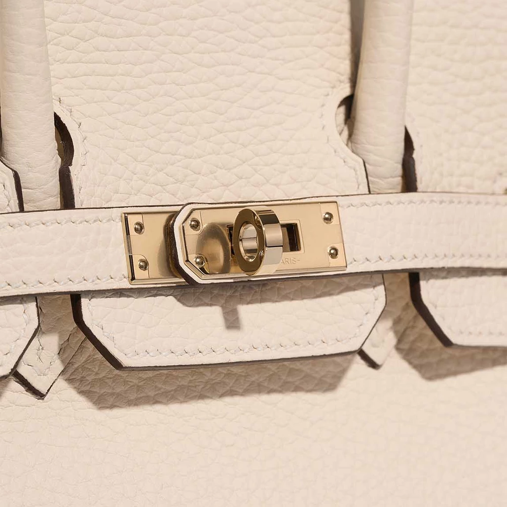Hermes Birkin 25 Togo Leather Two-Tone Handbag (Gold Hardware) - Image 7