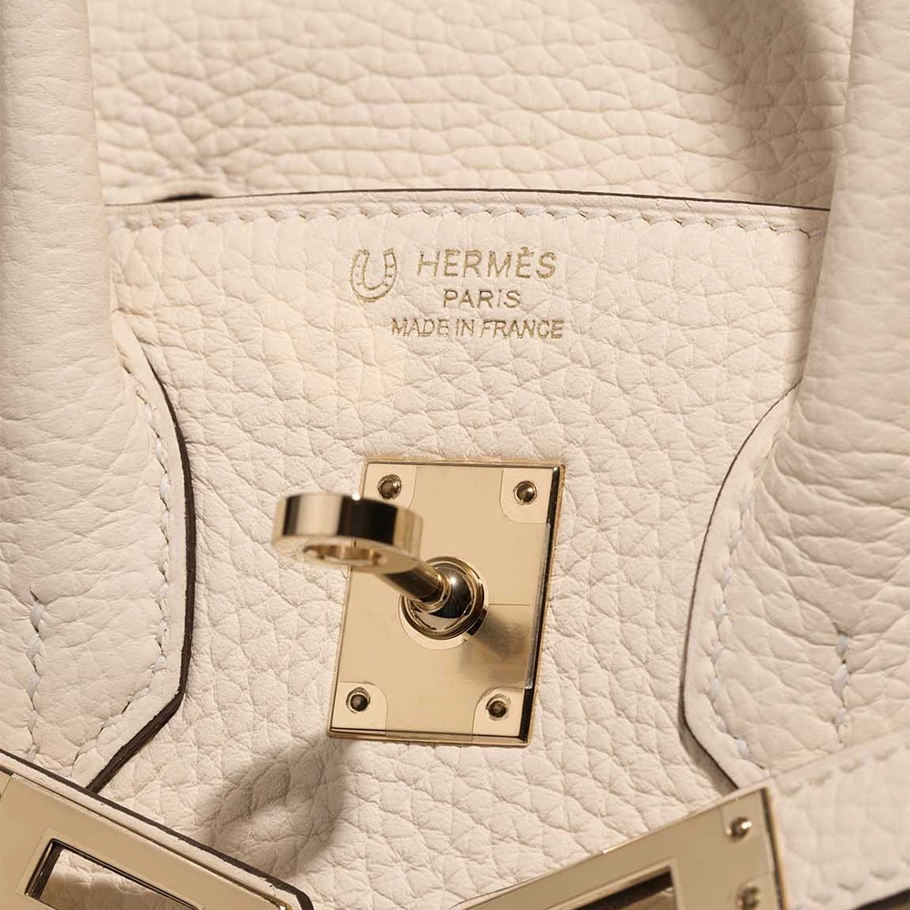 Hermes Birkin 25 Togo Leather Two-Tone Handbag (Gold Hardware) - Image 6