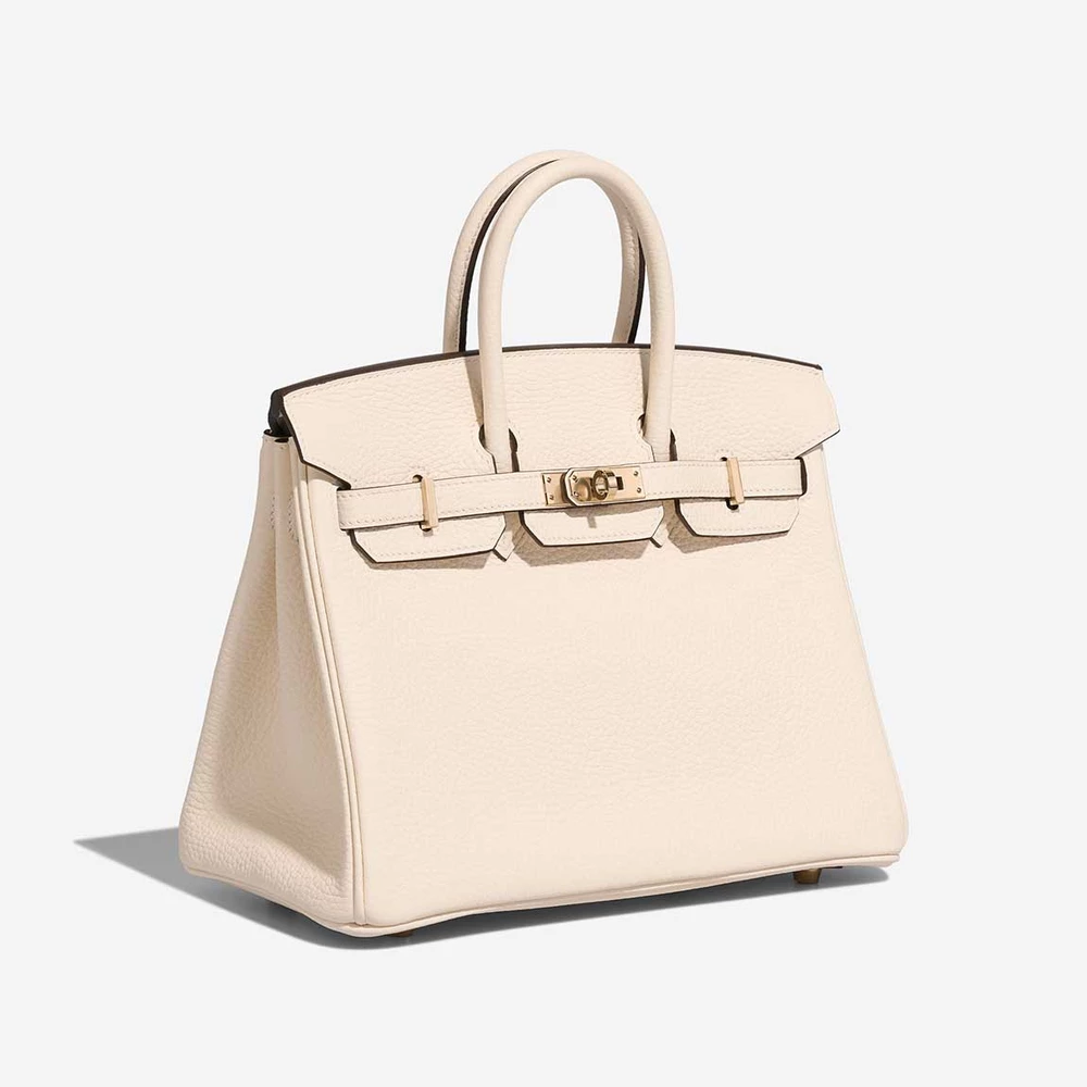 Hermes Birkin 25 Togo Leather Two-Tone Handbag (Gold Hardware) - Image 4