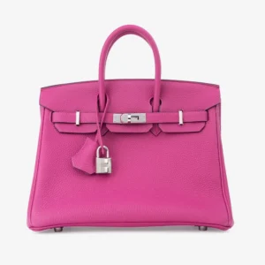Birkin 25 in Rose Pourpre Togo Leather with Palladium Hardware