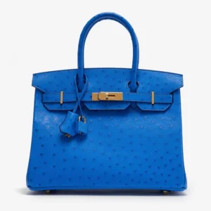 Hermès Replica Birkin 30 Ostrich Bleuet GHW | Luxury Handbags