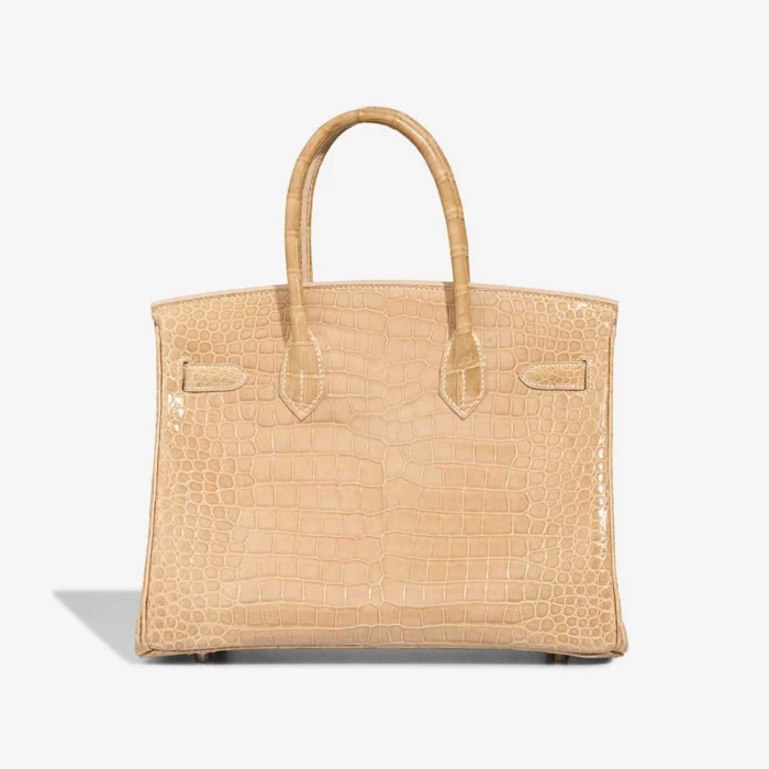 Hermès Replica Birkin 30 Porosus Crocodile Poussiere GHW - DLF - Image 2