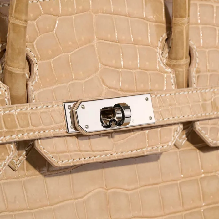 Hermès Replica Birkin 30 Porosus Crocodile Poussiere GHW - DLF - Image 7
