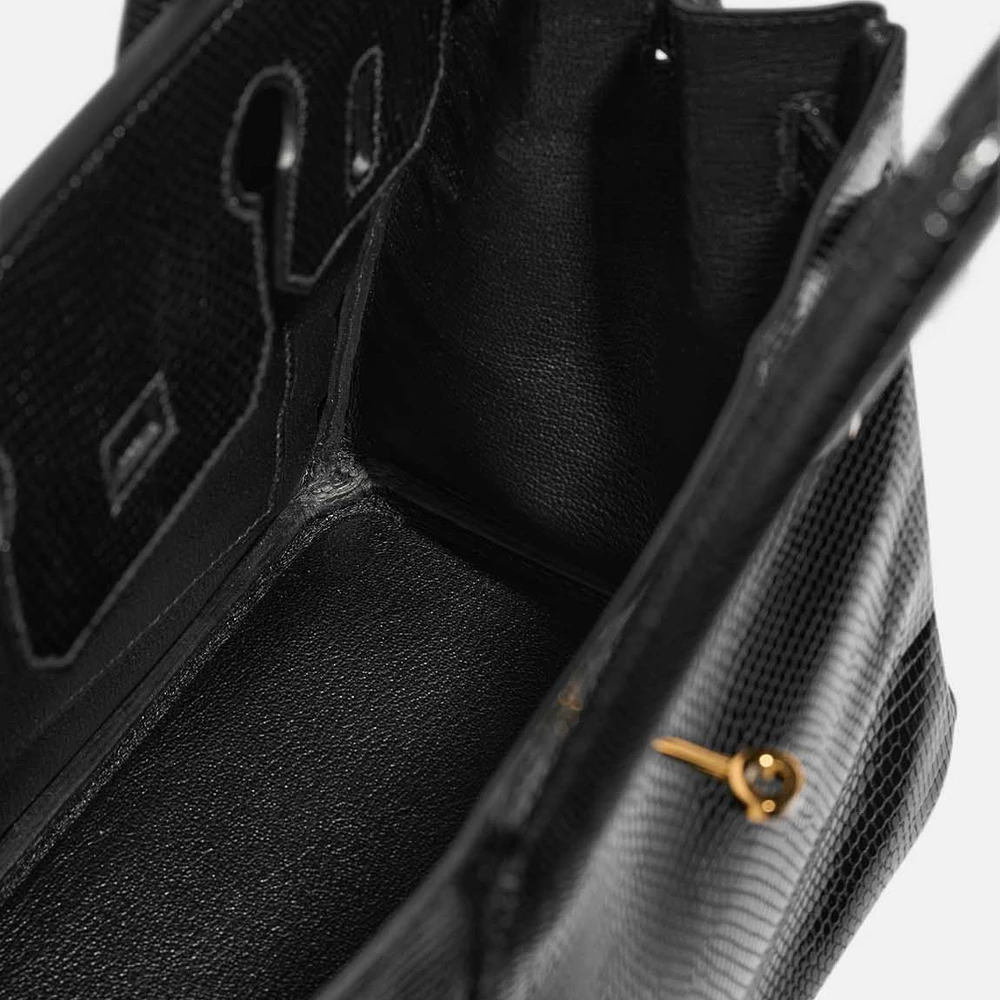 Black Salvator Lizard Birkin 30 with Polished Gold Hardware - Image 5