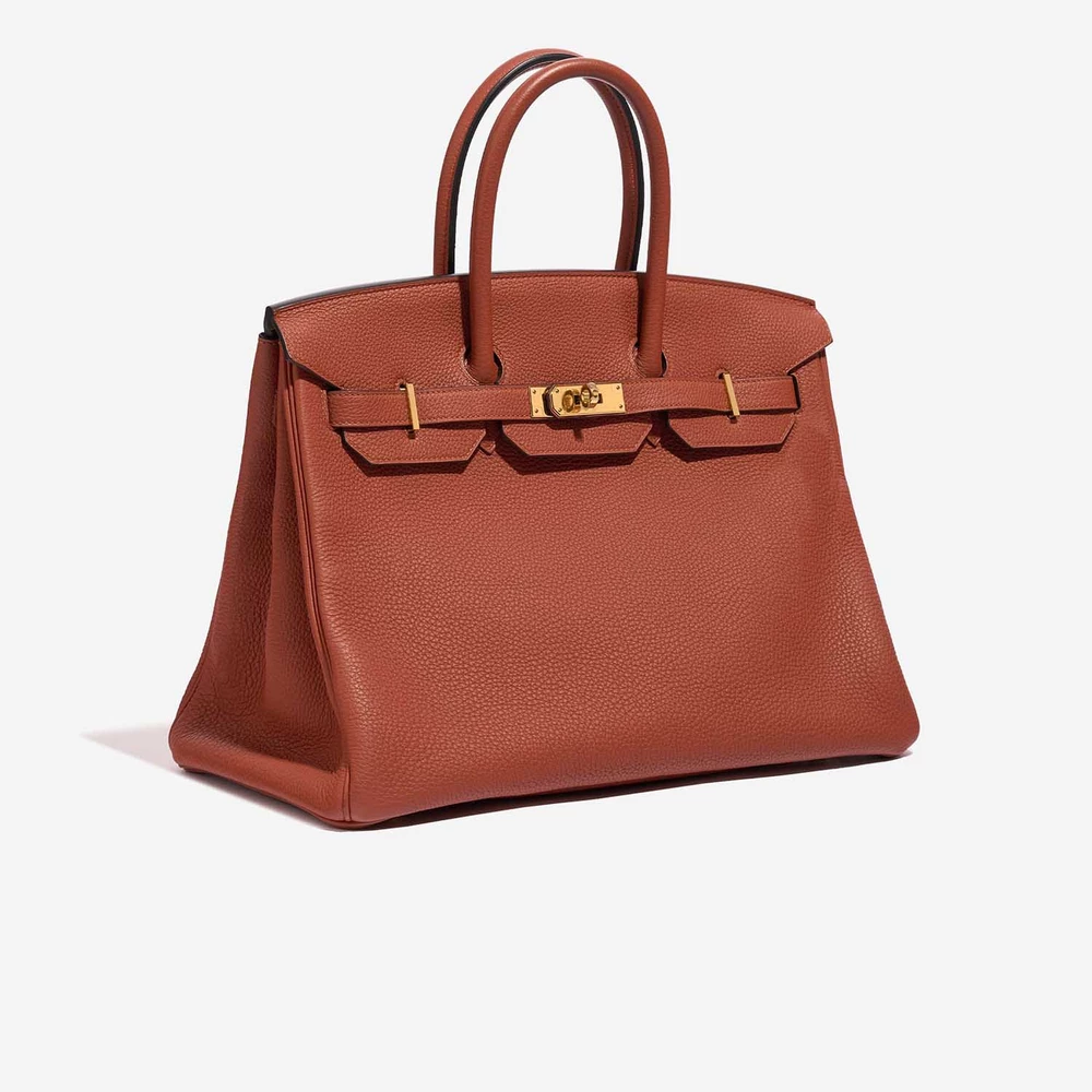 Birkin 35 Handbag in Cuivre Togo Leather with Gold Hardware - Image 4