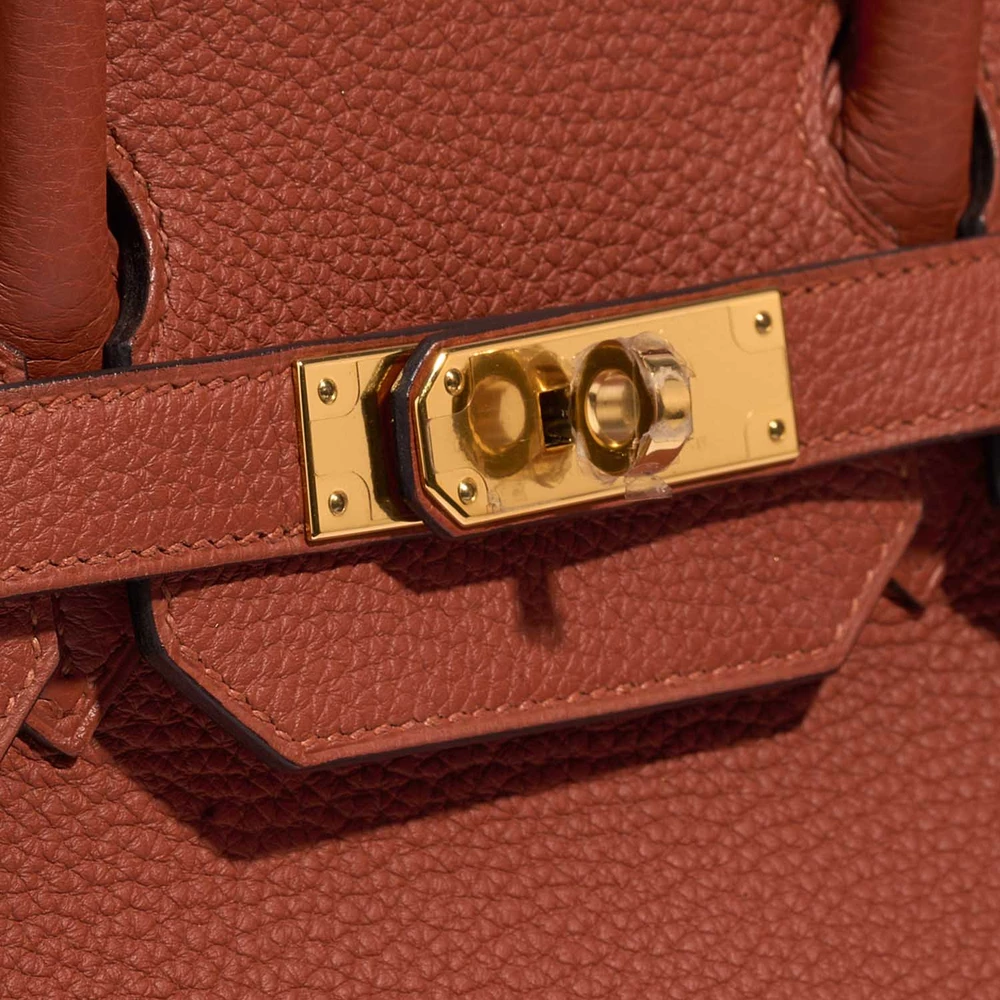 Birkin 35 Handbag in Cuivre Togo Leather with Gold Hardware - Image 7