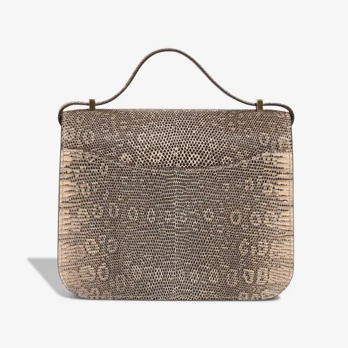 Hermès Replica Constance 18 Lizard Desert Ombre GHW - DLF - Image 2