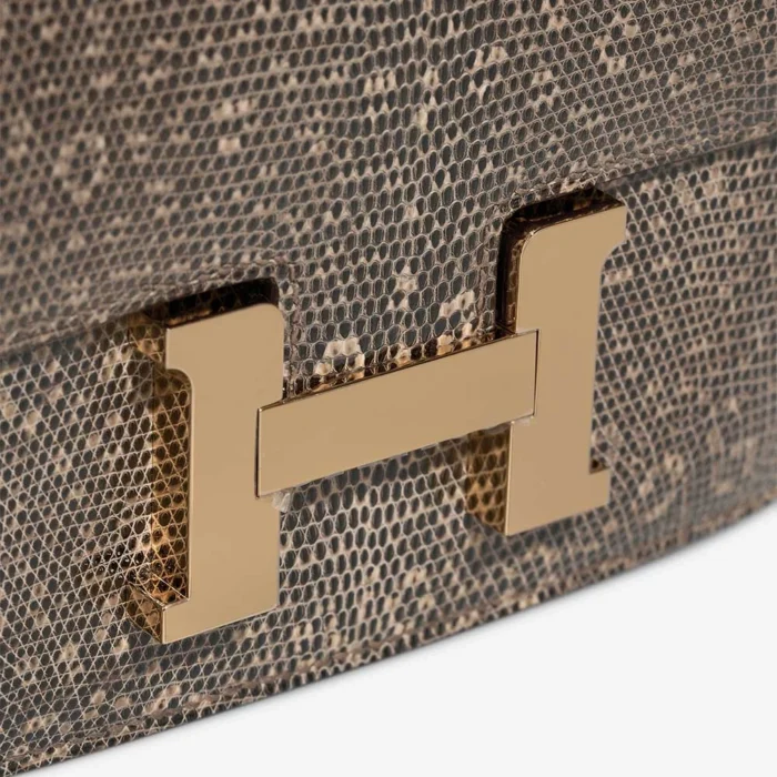 Hermès Replica Constance 18 Lizard Desert Ombre GHW - DLF - Image 5