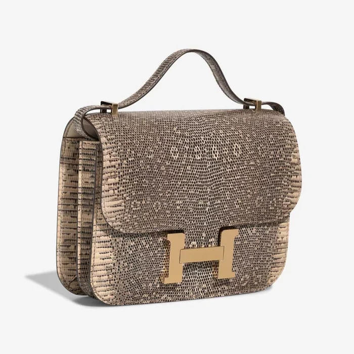 Hermès Replica Constance 18 Lizard Desert Ombre GHW - DLF - Image 4