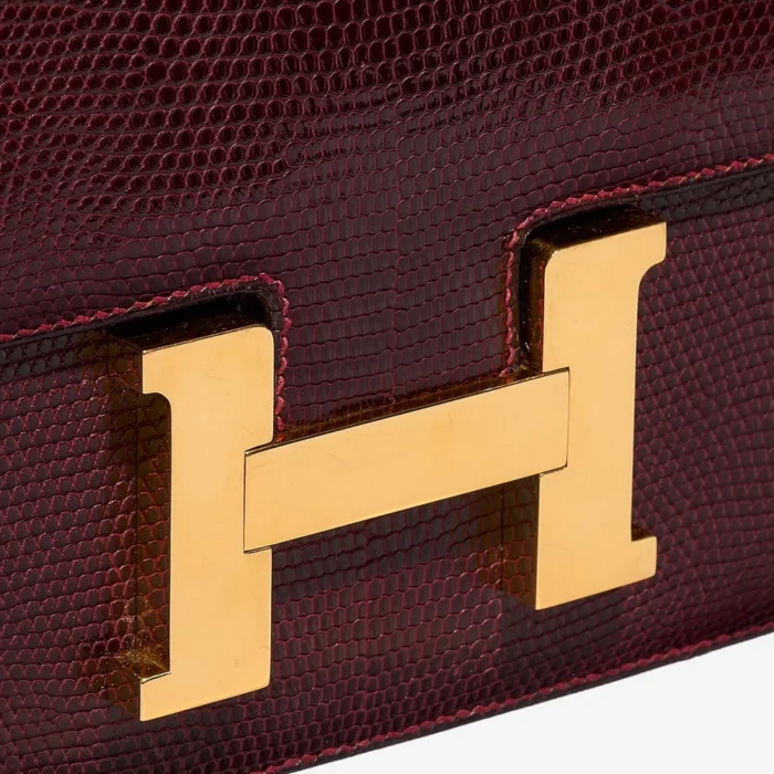 Hermès Replica Constance 23 Salvator Lizard Bordeaux GHW - DLF - Image 6