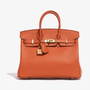 High-End Hermès Inspired Birkin 25 Swift Terre Battue GHW