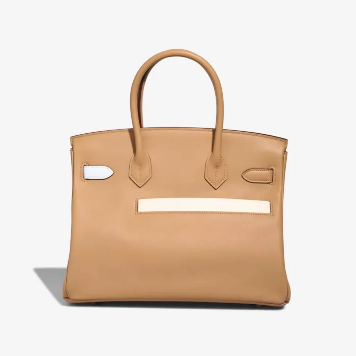 High-End Hermès Inspired Birkin 30 Swift Chai/Lime/Bleu Brume/Mauve Sylvestre/Nata PHW - Direct Luxury Fashion - Image 2